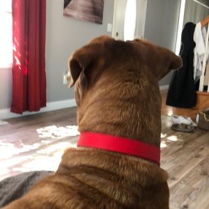 Meet your Posher, Marc